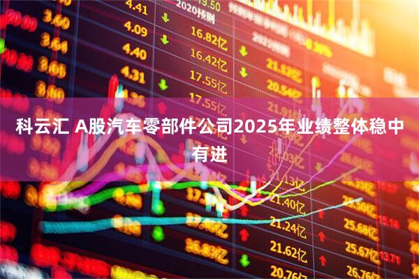 科云汇 A股汽车零部件公司2025年业绩整体稳中有进